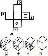 dice reasoning questions and answers