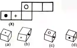 open dice reasoning questions with answers
