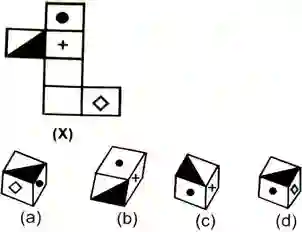 open dice reasoning questions