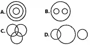 venn diagram reasoning questions, venn diagram questions, venn diagram examples