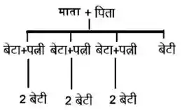 Blood Relation In Hindi