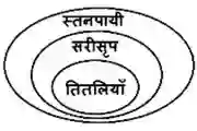 Syllogism Questions In Hindi