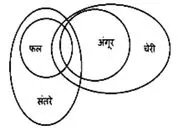 कथन और निष्कर्ष प्रश्न in hindi 