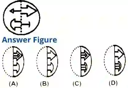 Paper Cutting And Folding Questions For SSC, Paper Cutting And Folding Questions Ans Answers