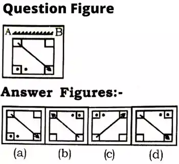 Water and Mirror Image Reasoning Questions