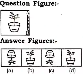 Water Image Reasoning Questions
