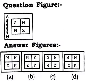 Mirror Image Reasoning Questions