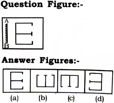 Mirror Image Reasoning Questions