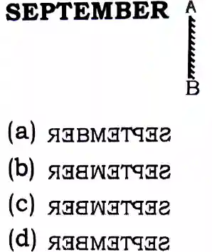 Mirror Image Reasoning Questions