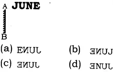 Mirror Image Reasoning Questions