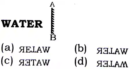 Mirror Image Reasoning Questions