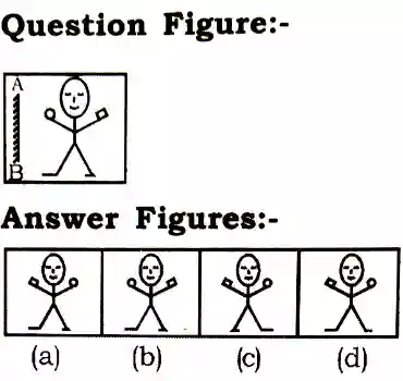 Mirror Image Reasoning Questions