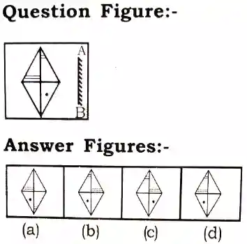 Mirror Image Reasoning Questions