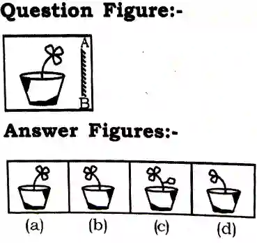 Mirror Image Reasoning Questions