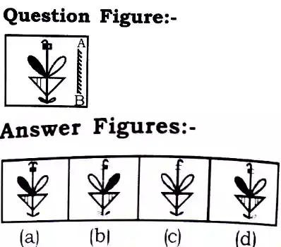 Mirror Image Reasoning Questions