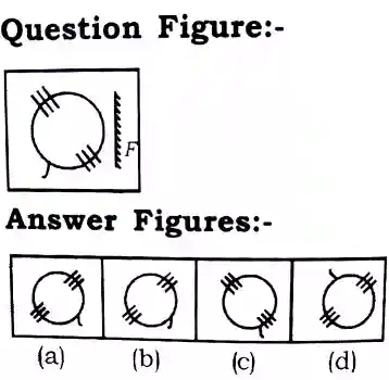 Mirror Image Reasoning Questions