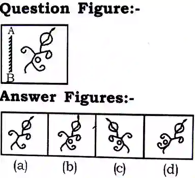 Mirror Image Reasoning Questions