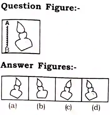 Mirror Image Reasoning Questions