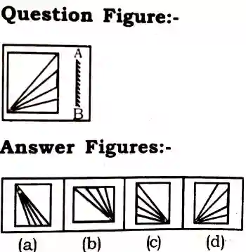 Mirror Image Reasoning Questions
