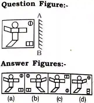 Mirror Image Reasoning Questions