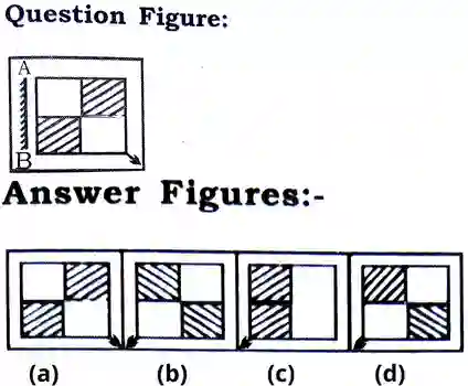 Mirror Image Reasoning Questions