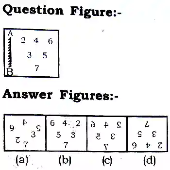 Water and Mirror Image Reasoning Questions