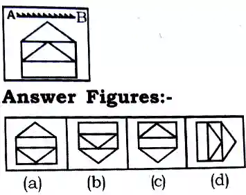 Water and Mirror Image Reasoning Questions