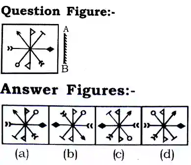 Water and Mirror Image Reasoning Questions