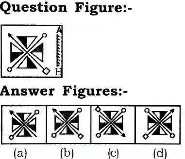 Water and Mirror Image Reasoning Questions