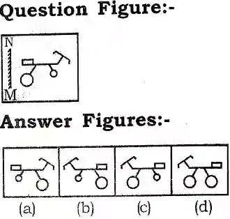 Mirror Image Reasoning Questions