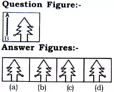 Water and Mirror Image Reasoning Questions