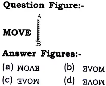 Water and Mirror Image Reasoning Questions