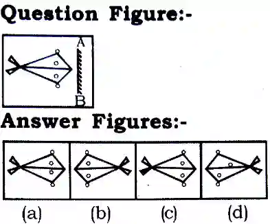 Water and Mirror Image Reasoning Questions