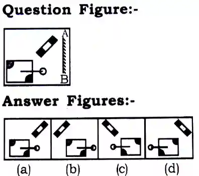 Water and Mirror Image Reasoning Questions