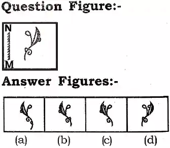 Mirror Image Reasoning Questions