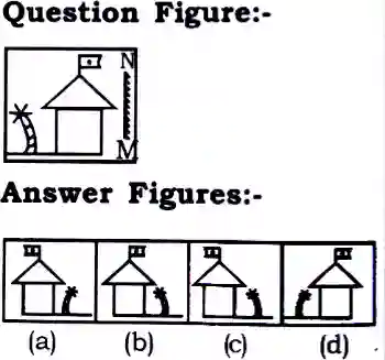 Mirror Image Reasoning Questions