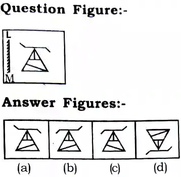 Mirror Image Reasoning Questions