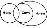 Statement and Conclusion Reasoning Questions and Answers