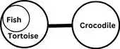 Statement and Conclusion Reasoning Questions and Answers