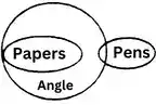 Statement and Conclusion Reasoning Questions and Answers