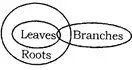 Statement and Conclusion Reasoning Questions and Answers