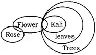 Statement and Conclusion verbal Reasoning
