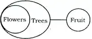 Statement and Conclusion verbal Reasoning