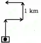 Direction Reasoning Questions, Distance and Direction Reasoning Questions