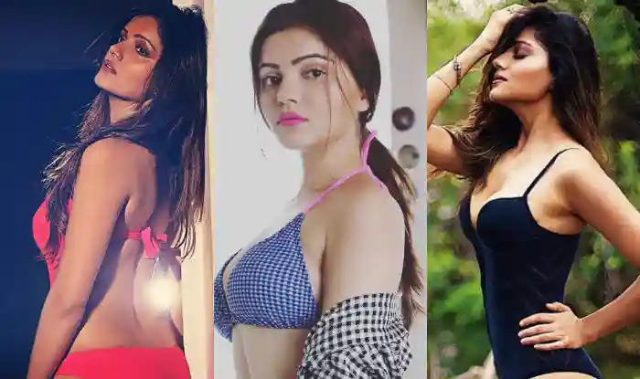 rubina dilaik hindi news