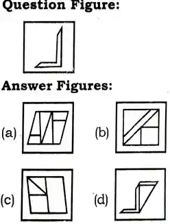 Embedded Figure Questions and answer, Embedded Figure Reasoning Questions, Embedded figures Examples