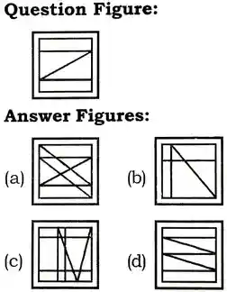 Embedded Figure Questions and answer, Embedded Figure Reasoning Questions, Embedded figures Examples